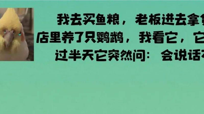 连锁餐饮供应链标准规范：构建食品安全与效率的双重保障